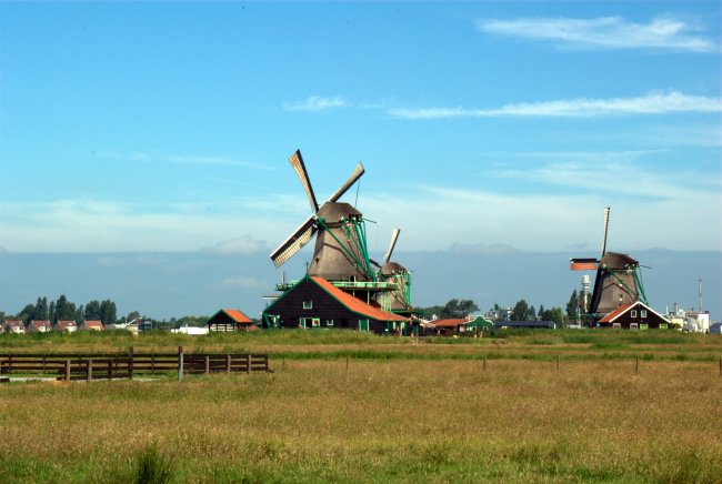 Windmills And A Blue Sky 