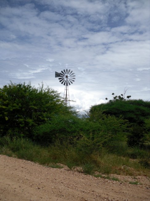Roadside Windmill